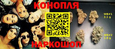 трава Кингисепп