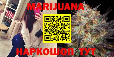 трава Кингисепп