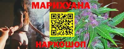 трава Кингисепп