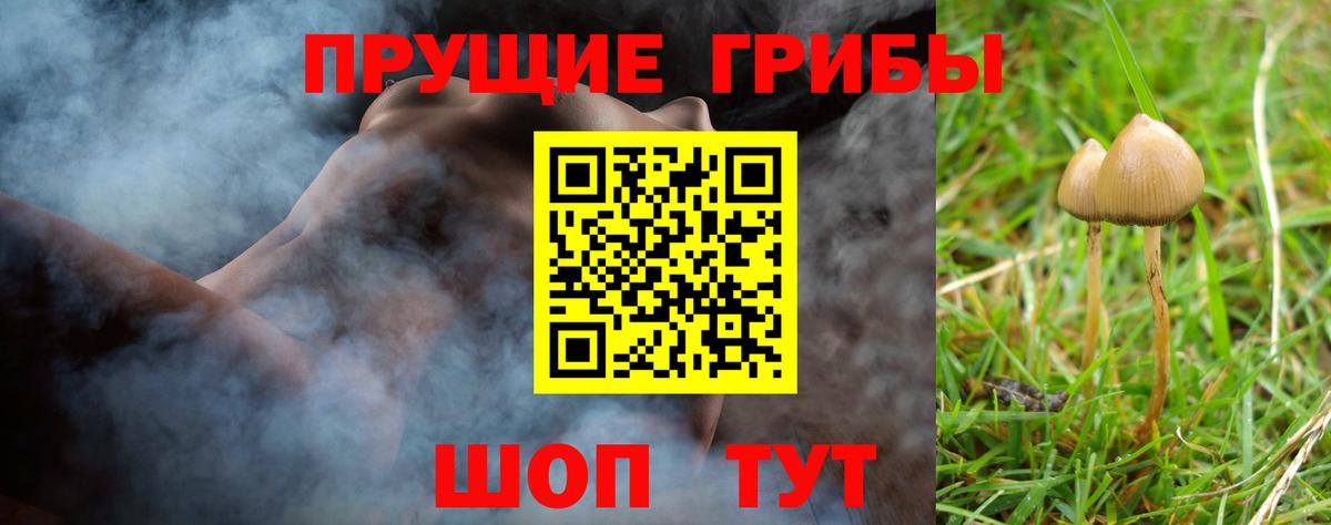 Пермь  Галлюциногенные грибы Magic Shrooms  закладки  Вход с VPN 